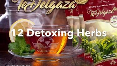 &quot;Benefits of Drinking Diet Green Tea