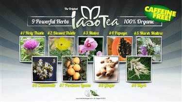 &quot;Green Tea Diets Weight Loss