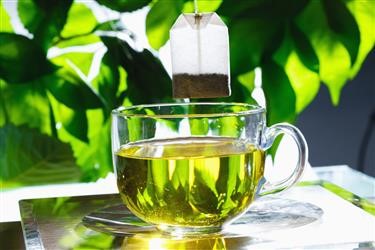 &quot;How Does Green Tea Help in a Diet