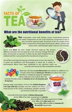 &quot;Noni Dieters Tea Reviews